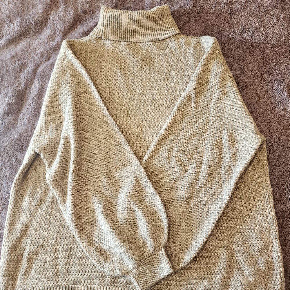 Color Alien Turtleneck Sweater